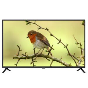 تلویزیون 43 اینچ نکسار مدل 40E414N