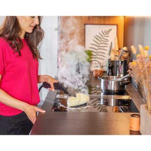 بخارشوی ایزی فیکس کارچر SC 2